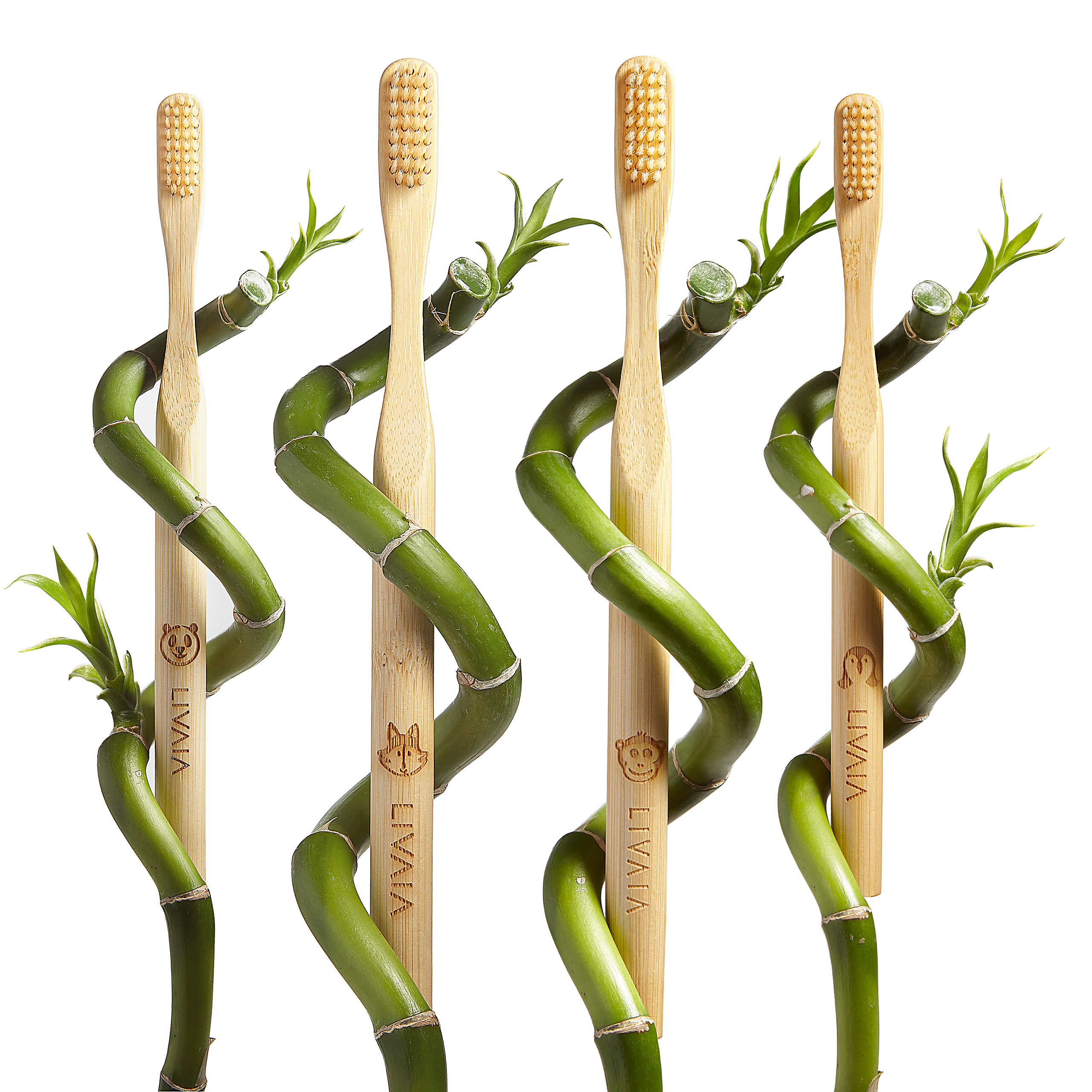 Bamboo Toothbrushes